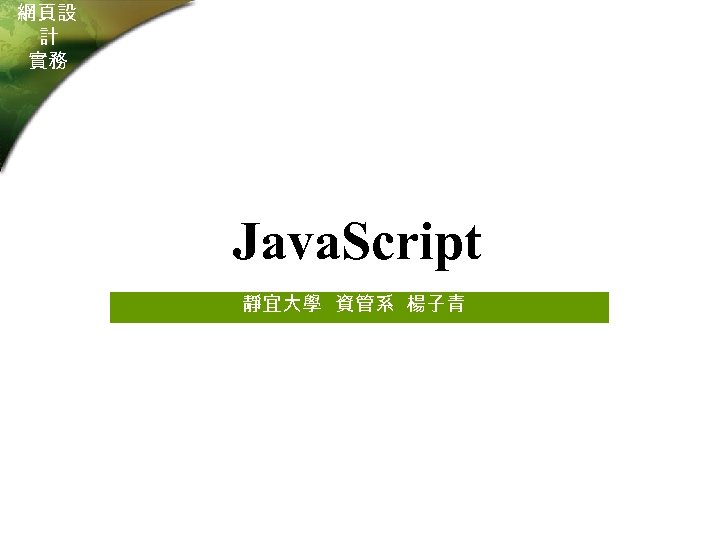 網頁設 計 實務 Java. Script 靜宜大學 資管系 楊子青 