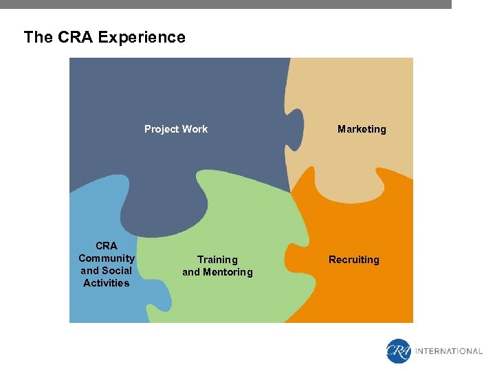 The CRA Experience Project Work CRA Community and Social Activities Training and Mentoring Marketing