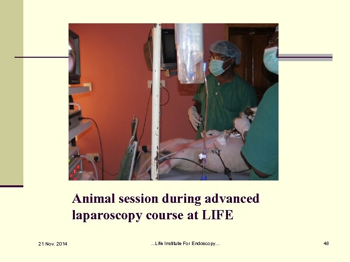 Animal session during advanced laparoscopy course at LIFE 21 Nov. 2014 . . .