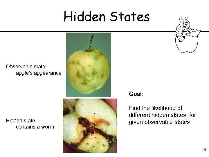 Hidden States Observable state: apple’s appearance Goal: Hidden state: contains a worm Find the
