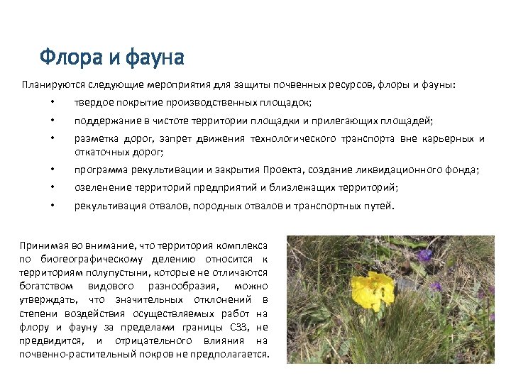 Флора и фауна Планируются следующие мероприятия для защиты почвенных ресурсов, флоры и фауны: •