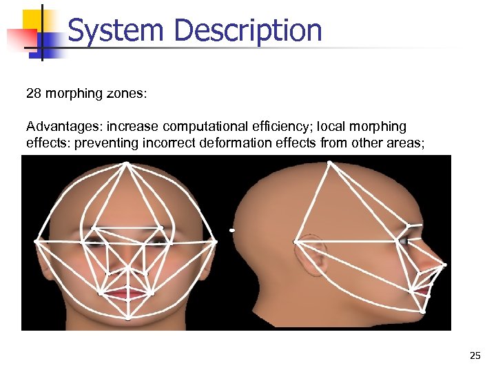 System Description 28 morphing zones: Advantages: increase computational efficiency; local morphing effects: preventing incorrect