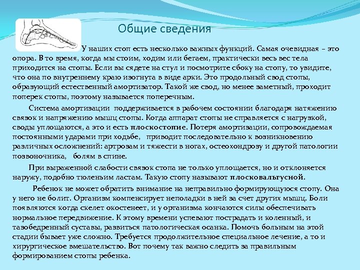  Общие сведения У наших стоп есть несколько важных функций. Самая очевидная – это