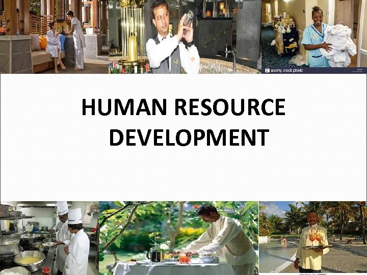 HUMAN RESOURCE DEVELOPMENT 