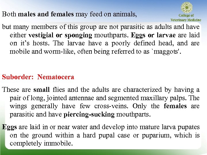 Both males and females may feed on animals, but many members of this group
