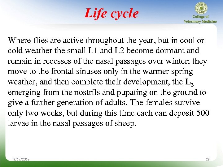 Life cycle Where flies are active throughout the year, but in cool or cold
