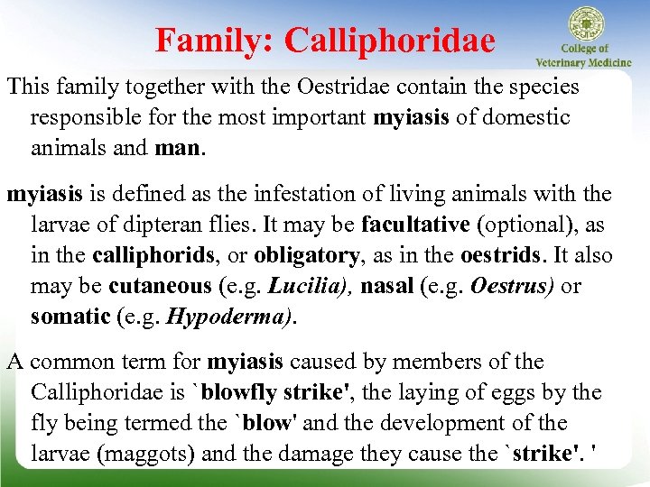 Family: Calliphoridae This family together with the Oestridae contain the species responsible for the