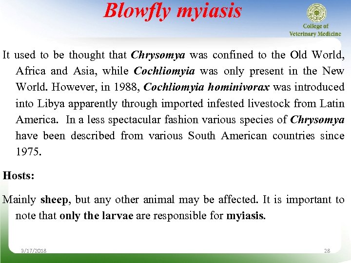 Blowfly myiasis It used to be thought that Chrysomya was confined to the Old