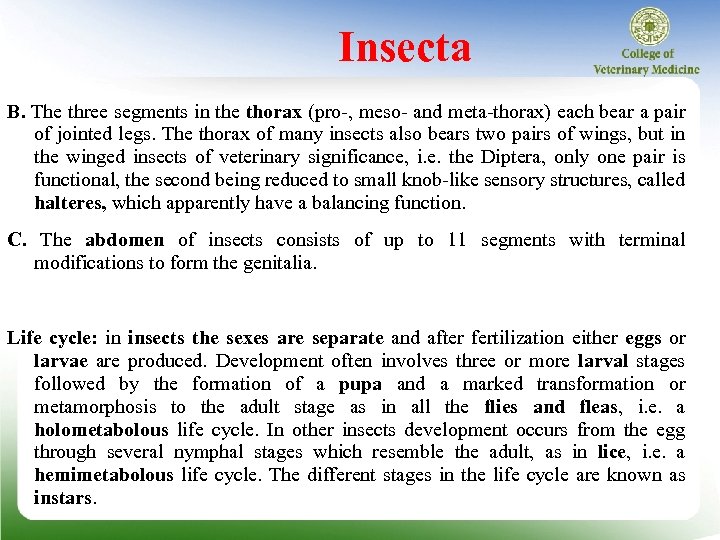 Insecta B. The three segments in the thorax (pro , meso and meta thorax)