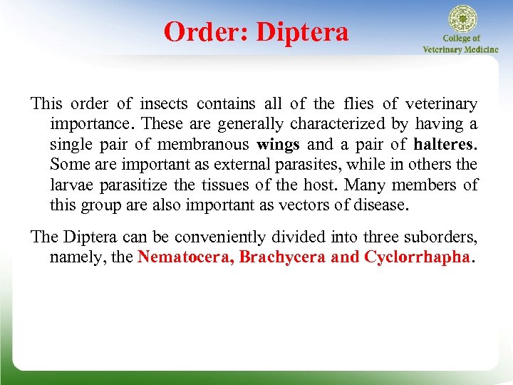 Order: Diptera This order of insects contains all of the flies of veterinary importance.