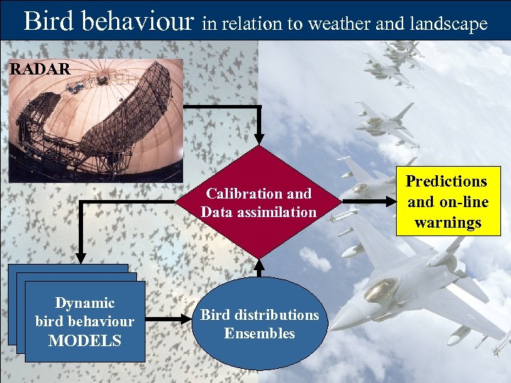 Bird behaviour in relation to weather and landscape RADAR Calibration and Data assimilation Dynamic