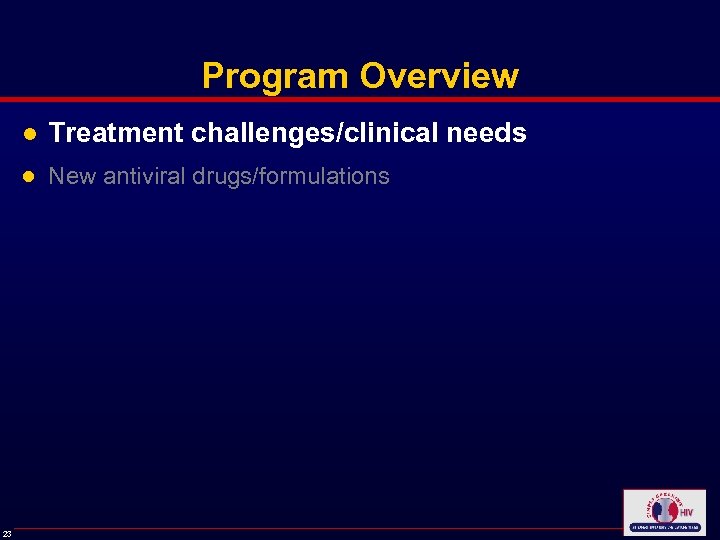 Program Overview ● Treatment challenges/clinical needs ● New antiviral drugs/formulations 23 