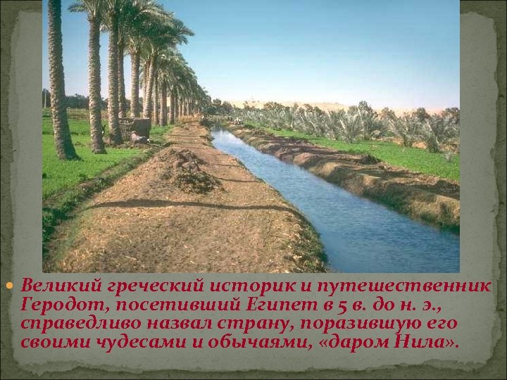  Великий греческий историк и путешественник Геродот, посетивший Египет в 5 в. до н.