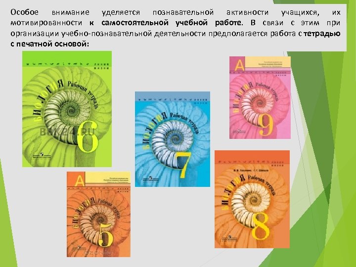 Особое внимание уделяется познавательной активности учащихся, их мотивированности к самостоятельной учебной работе. В связи