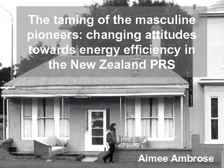 The taming of the masculine pioneers: changing attitudes towards energy efficiency in the New