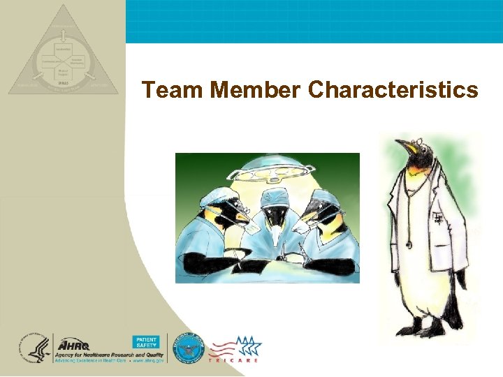 Team Member Characteristics 