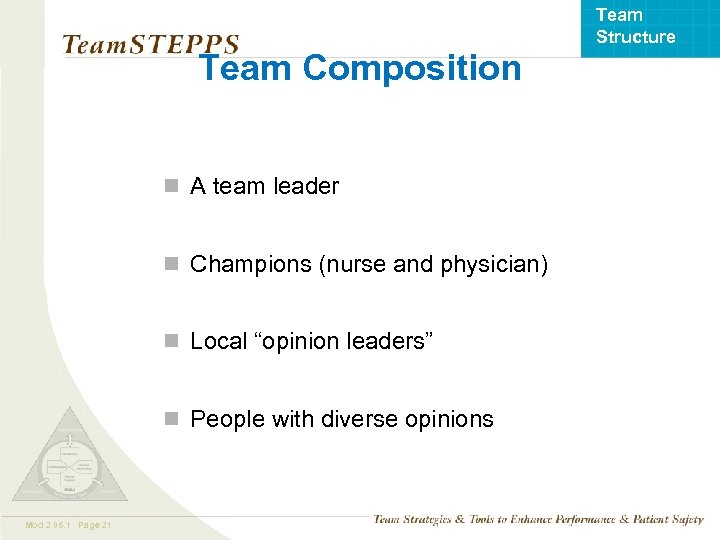 Team Structure Team Composition n A team leader n Champions (nurse and physician) n