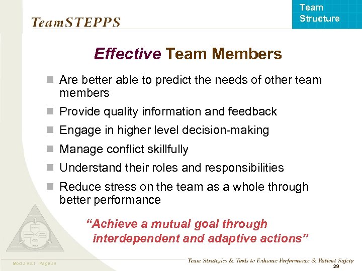 Team Structure Effective Team Members n Are better able to predict the needs of