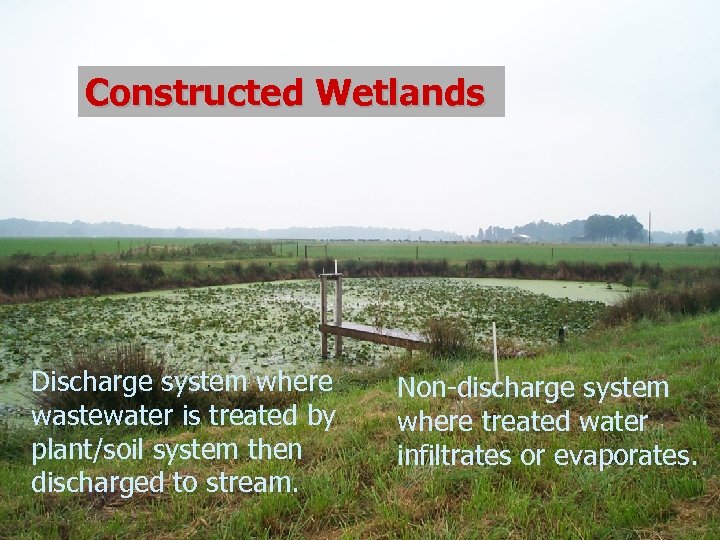 Constructed Wetlands Discharge system where wastewater is treated by plant/soil system then discharged to