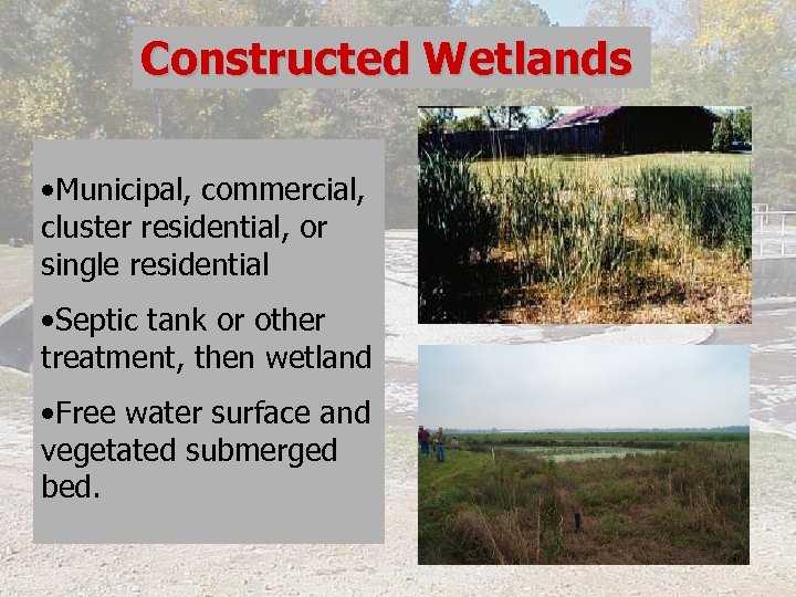 Constructed Wetlands • Municipal, commercial, cluster residential, or single residential • Septic tank or