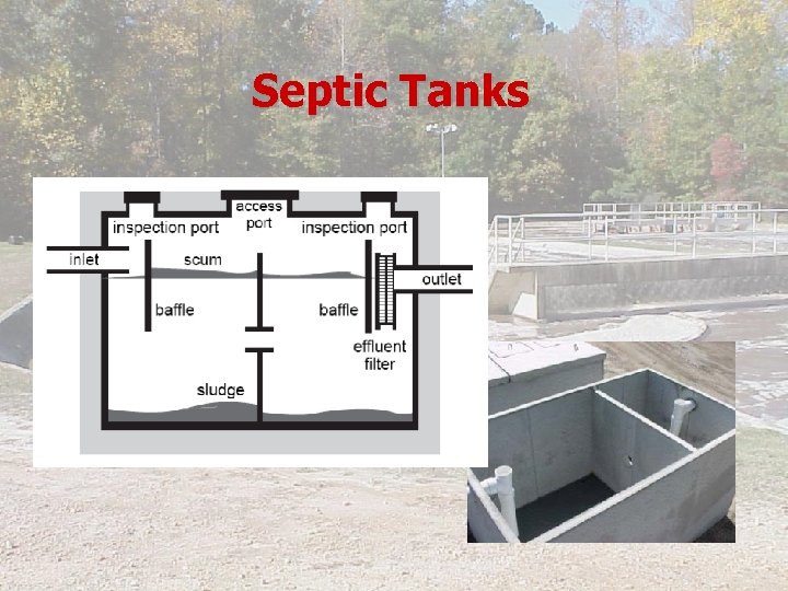 Septic Tanks 