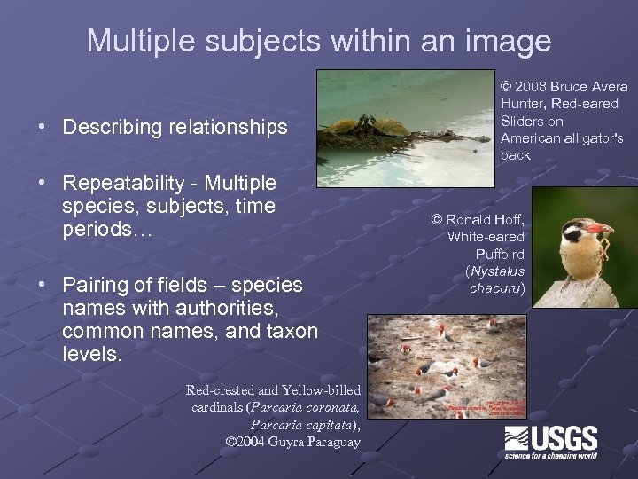 Multiple subjects within an image • Describing relationships • Repeatability - Multiple species, subjects,
