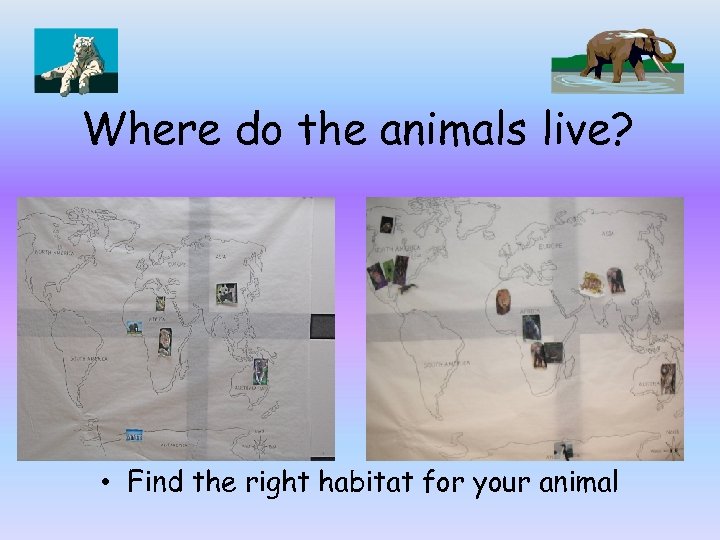 Where do the animals live? • Find the right habitat for your animal 