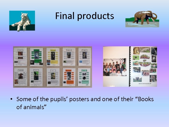 Final products • Some of the pupils’ posters and one of their “Books of