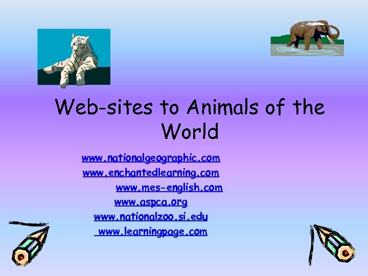Web-sites to Animals of the World www. nationalgeographic. com www. enchantedlearning. com www. mes-english.