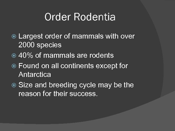 Order Rodentia Largest order of mammals with over 2000 species 40% of mammals are