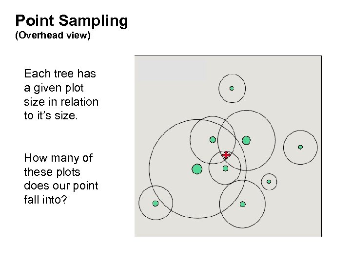 Point Sampling (Overhead view) Each tree has a given plot size in relation to