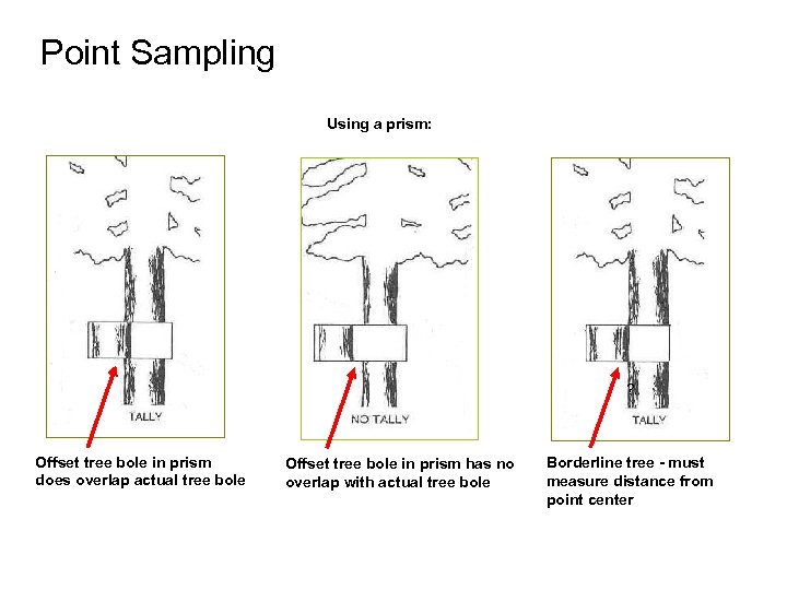 Point Sampling Using a prism: ? Offset tree bole in prism does overlap actual