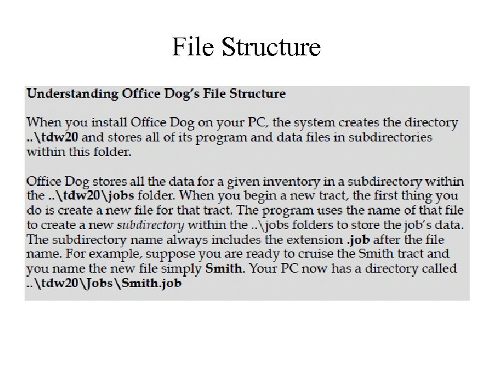 File Structure 