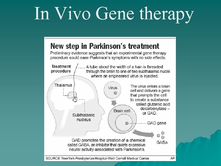 In Vivo Gene therapy 