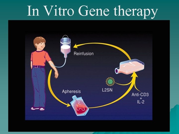 In Vitro Gene therapy 