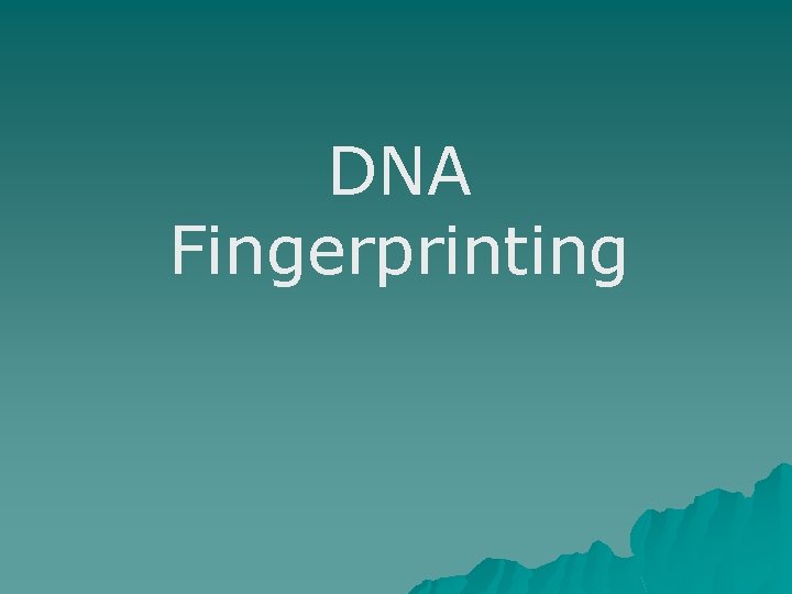 DNA Fingerprinting 