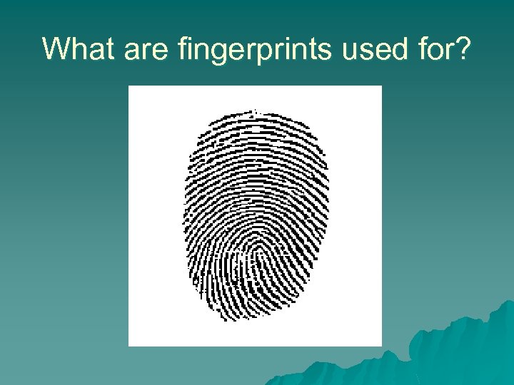 What are fingerprints used for? 