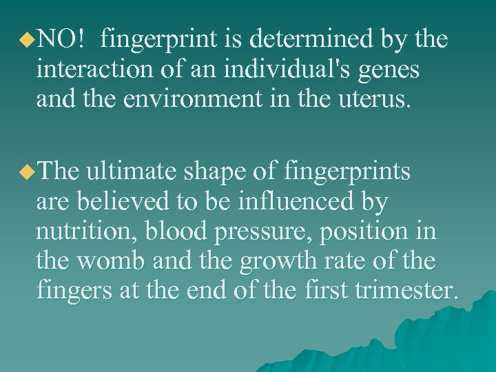 u. NO! fingerprint is determined by the interaction of an individual's genes and the