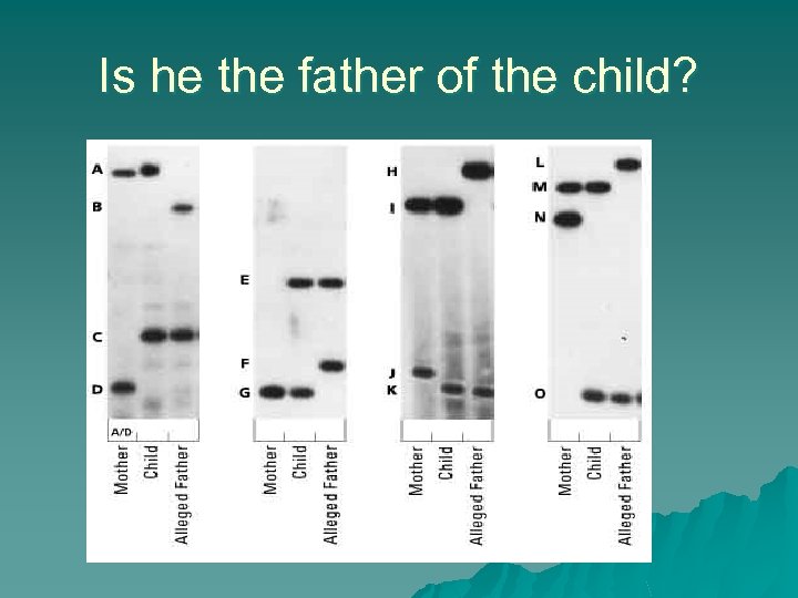 Is he the father of the child? 