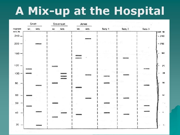 A Mix-up at the Hospital 