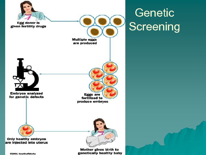 Genetic Screening 