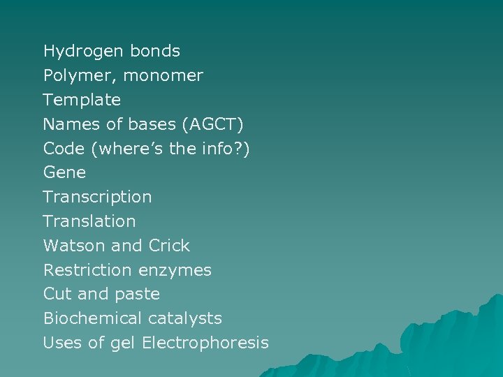 Hydrogen bonds Polymer, monomer Template Names of bases (AGCT) Code (where’s the info? )