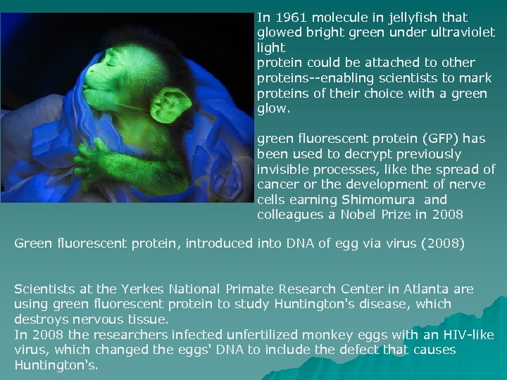 In 1961 molecule in jellyfish that glowed bright green under ultraviolet light protein could
