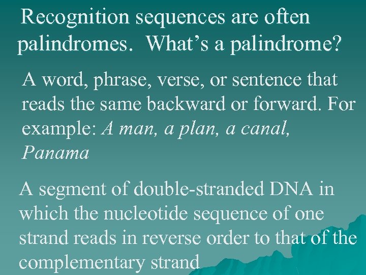 Recognition sequences are often palindromes. What’s a palindrome? A word, phrase, verse, or sentence