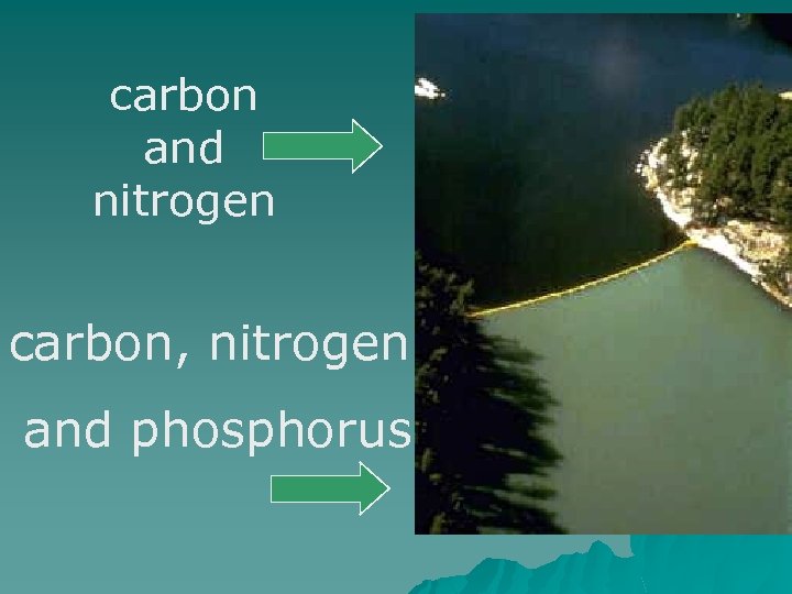 carbon and nitrogen carbon, nitrogen and phosphorus 