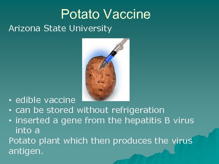 Potato Vaccine Arizona State University • edible vaccine • can be stored without refrigeration