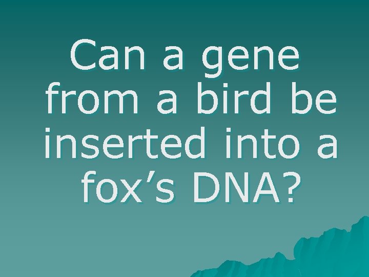 Can a gene from a bird be inserted into a fox’s DNA? 