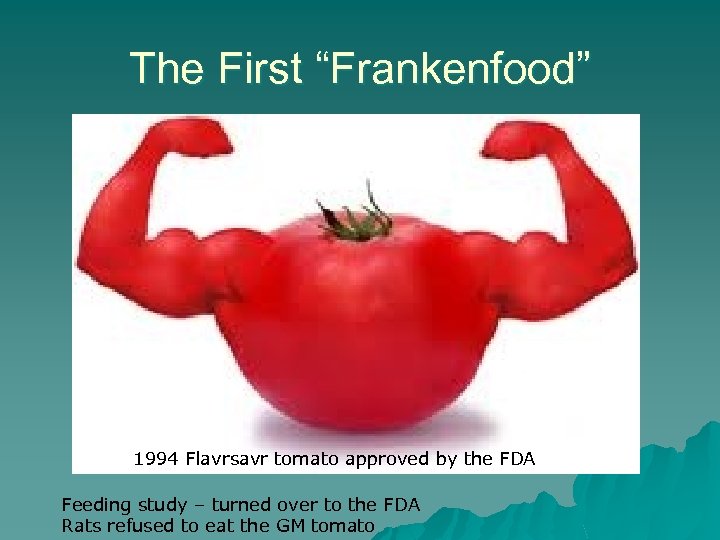 The First “Frankenfood” 1994 Flavrsavr tomato approved by the FDA Feeding study – turned