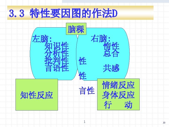 3. 3 特性要因图的作法D 脑稞 左脑: 知识性 分析性 批判性 言语性 知性反应 性 性 右脑: 惰性