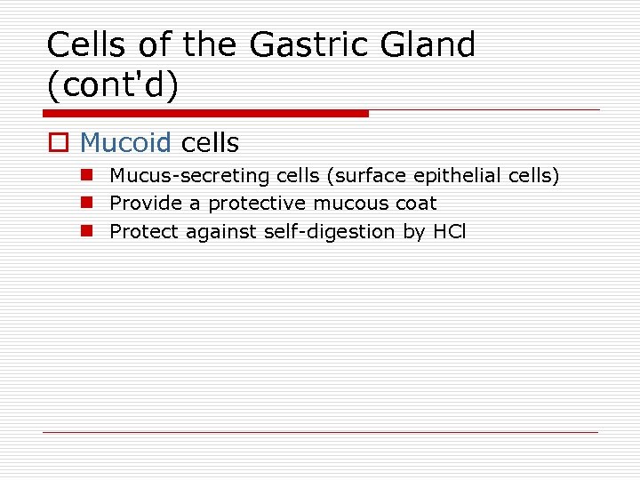 Cells of the Gastric Gland (cont'd) o Mucoid cells n Mucus-secreting cells (surface epithelial